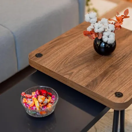 Daire Capitol Belgrad